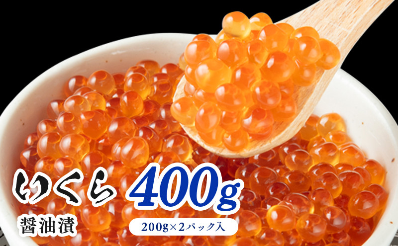 鮭いくら醤油漬400g（200g×2P入）小分タイプ　いくら