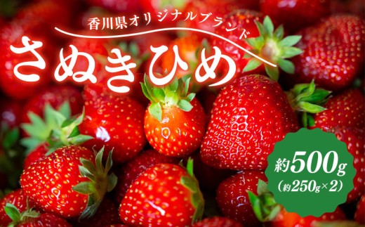 先行予約 いちご さぬきひめ 約500g (250g×2)  果物 フルーツ 苺 デザート スイーツ ケーキ ジュース ゼリー アイス シャーベット ジェラート フルーツ大福 ドライフルーツ クレープ