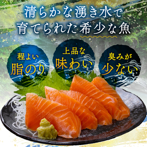 絶品！信州サーモン 切り身 刺身用 約150g × 2パック 計約300g