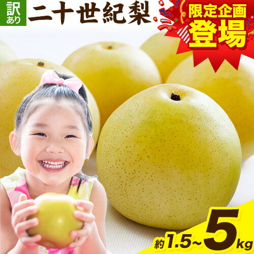 【ふるさと納税】梨 なし【2025年先行予約】 二十世紀梨 選べる 約1.5kg (3~6玉) 約3kg (6~11玉) 約5kg (10~18玉) L~5Lサイズ《2025年8月下旬-10月上旬頃出荷》二十世紀梨 梨 ご家庭用 旬 二十世紀 鳥取県 八頭町 なし 果物 フルーツ 特産品 送料無料 デザート 八頭 新甘泉