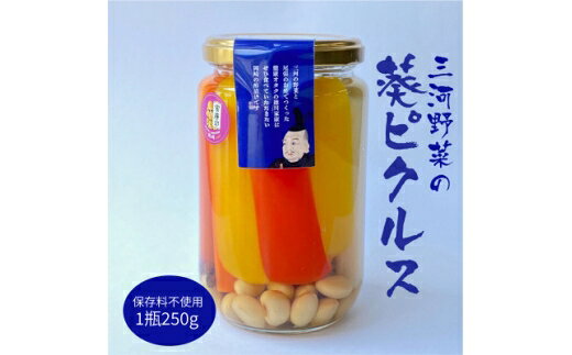 【ふるさと納税】 三河野菜の葵ピクルス あいちの家康酢漬 250g 1本[アクト 愛知県 岡崎市 ok23bzx230006]国産 瓶 酢漬 人参 きゅうり 大根 パプリカ 大豆