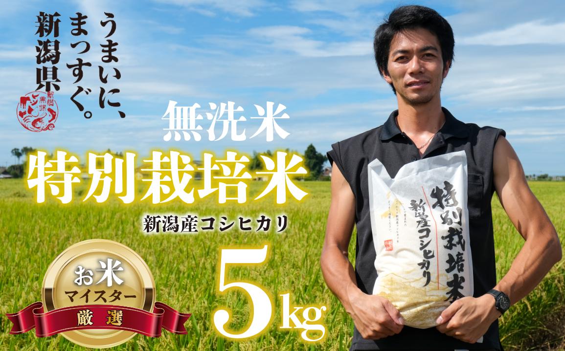 
            新米 無洗米 コシヒカリ 5kg 令和6年産 特別栽培米 こしひかり ご飯 備蓄 コメ お米 米 こめ しんまい 新潟産 新潟米 新潟県 新潟 新発田 新発田市 年末の推し 国産 斗伸
          