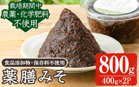 y456 《数量限定》薬膳味噌(ハトムギ味噌)(計800g・400g×2パック) 味噌 麦味噌 自家栽培 ハトムギ 玄米麹 ハトムギ麹 麦麹 麹 こうじ 玄米 大豆 黒大豆 みそ汁 味噌汁 化学肥料不使用 農薬不使用 有機 有機農業 有機肥料【雲月農園】