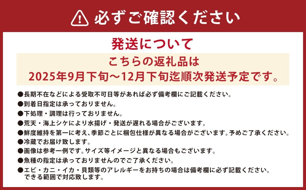 長崎漁港発！長崎近海産鮮魚お試しセット (ミニ) ／ 魚 魚介 鮮魚 海鮮 海産物 刺身 セット 地魚 詰め合わせ 詰合せ つめあわせ 大将農園 長崎県 長崎市 【2025年9月下旬～12月下旬迄発送