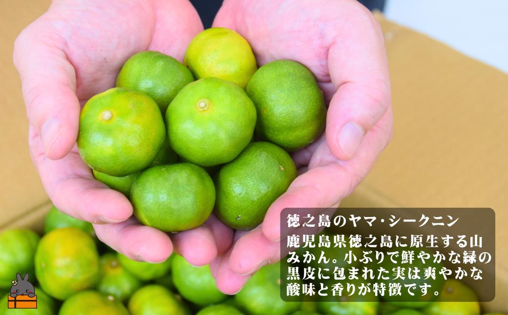 全国の皆様にかけてほしい！ヤマ・シークニン入りノンオイルドレッシング（200ml×3本） ( 調味料 柑橘 果物 薬味 ドレッシング ヤマシークニン シークン 野生みかん 奄美 鹿児島 ダイキチ食品 