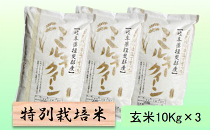 
                  特別栽培米★玄米30kg【ミルキークイーン】10Kg×3 [№5644-1364]
                