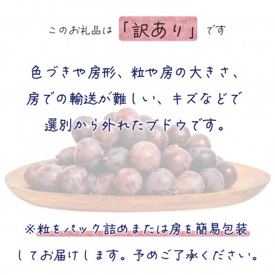 【2026年先行受付】岡山　花笑み農園の 『訳ありニューピオーネ』1kg　WP-1【配送不可地域：離島】