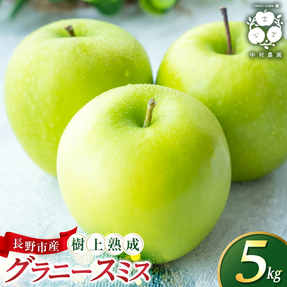 【ふるさと納税】フルーツファーム中村農園　【10月中旬発送 先行予約】樹上熟成　グラニースミス 5kg | りんご グリーンアップル 樹上熟成 林檎 アップルパイ ジャム 加工用 生食用 果物 フルーツ 旬 青りんご 料理用 製菓用 送料無料 長野県 長野市 信州 信濃