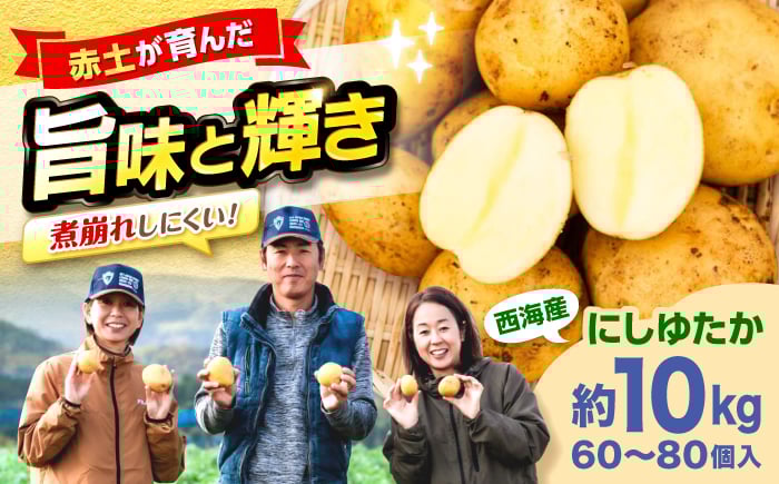 
                  じゃがいも 勝田農園の満々じゃがいも にしゆたか 約10kg（M〜Lサイズ混合） ジャガイモ ＜勝田農園＞ [CGM002] 長崎 西海 じゃがいも ぽてと jagaimo いも 芋 野菜 potato 産地直送 長崎 西海 ジャガイモ ポテト イモ にしゆたか 新鮮 芋 じゃがいも ホクホク じゃがいも おまかせ お取り寄せ 通販 野菜 サイズ混合 ジャガイモ ポテト とれたて 新じゃが
                