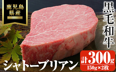 鹿児島県産黒毛和牛・シャトーブリアン 計300g(150g×2枚) 黒毛和牛 牛肉 ステーキ【ビーフ倉薗】C43