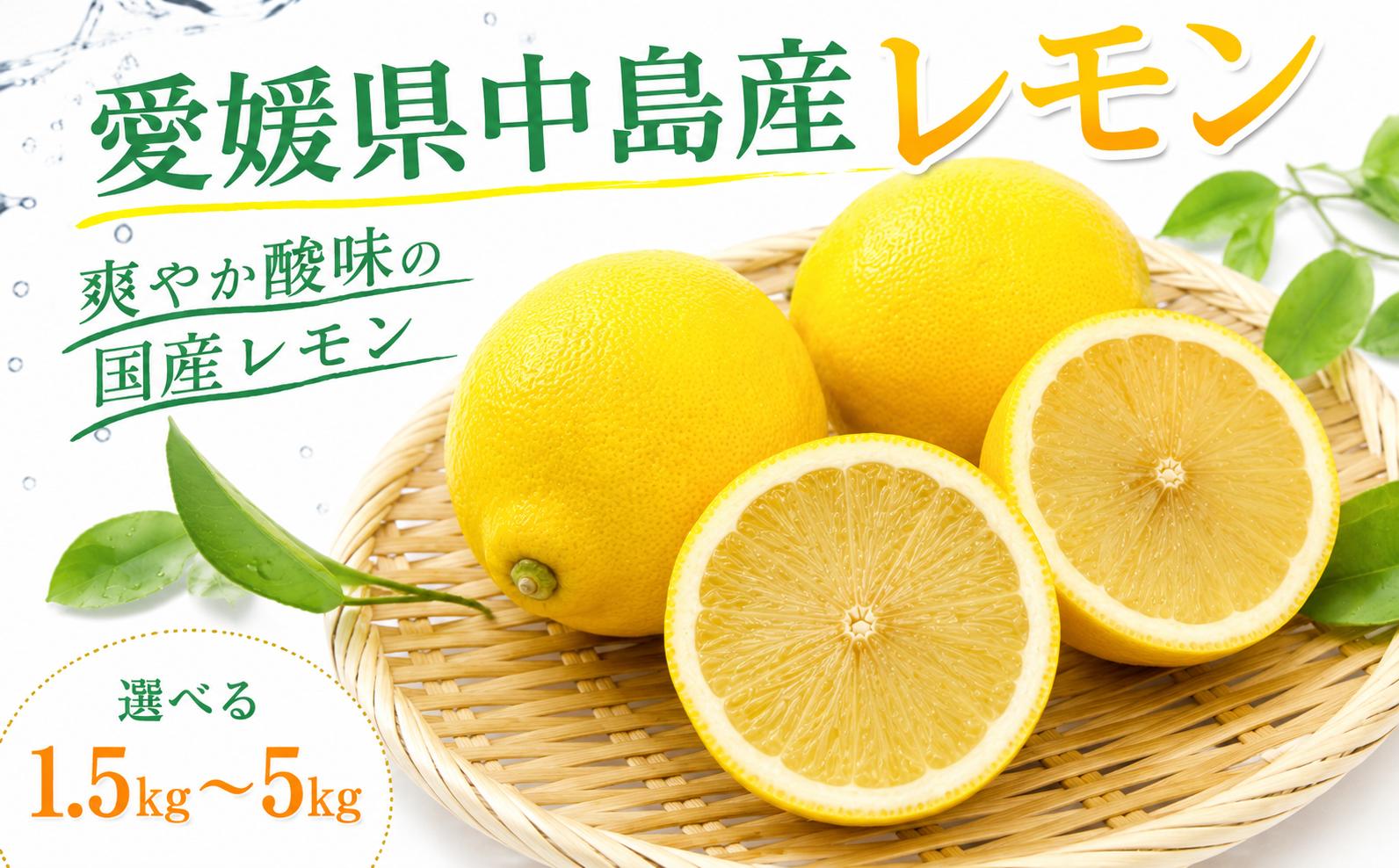 
                  【2026年11月下頃から順次発送】愛媛県産中島産レモン 1.5㎏ 2.5㎏ 5kg（MまたはLサイズ）レモン 国産 れもん イエローレモン 檸檬 ビタミン 果物 柑橘 愛媛県 松山市 
                