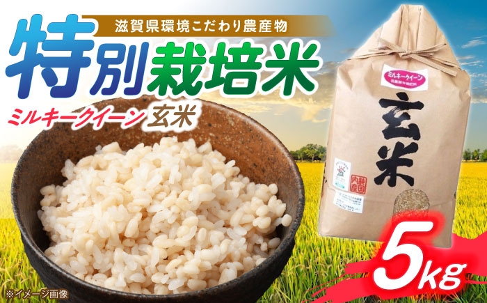 
                  低農薬栽培 ミルキークイーン 玄米5kg　滋賀県長浜市/有限会社もりかわ農場 [AQBL026]
                