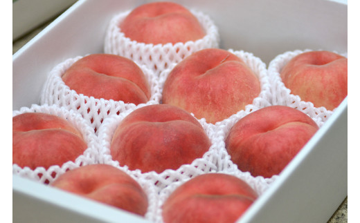 08-10-020　硬い！！もも(美晴白桃)3kg