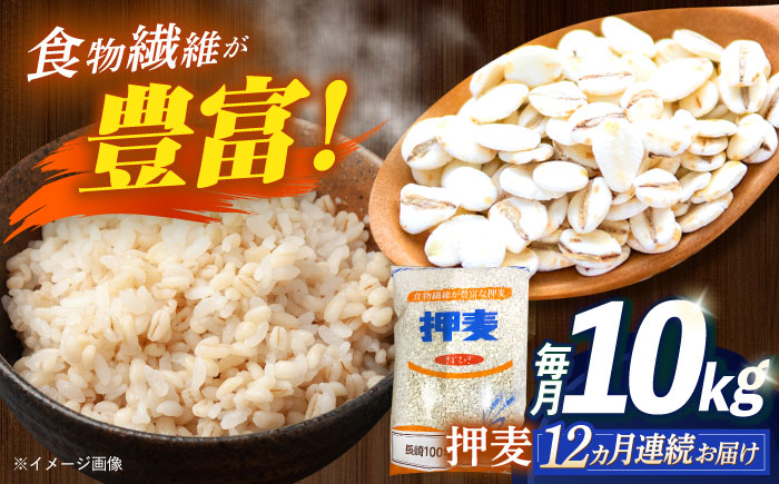 【全12回定期便】 押麦「長崎100年麦 御島裸」1kg×10袋 計10kg / 麦 むぎ 押麦 はだか麦 麦味噌 雑穀 雑穀米 食物繊維 小分け 長崎県産 米 こめ コメ ※ / 諫早市 / 有限会社伊東精麦 [AHBU012]