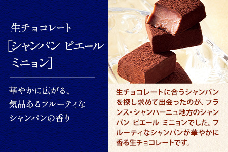 [1.35-211]　ROYCE'生チョコレート入りバラエティセット