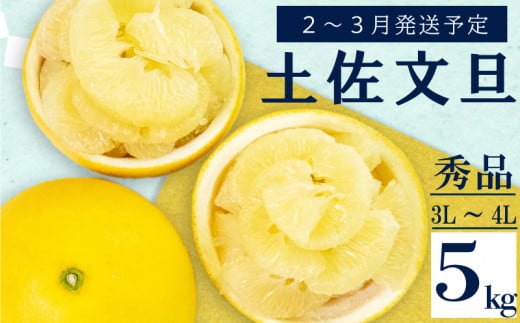 【2026年2月上旬から発送】 文旦 高知 5kg 秀品 3L 4L 浦ノ内特産 早期予約 予約受付中 期間限定 季節限定 限定 旬 みかん ミカン ぶんたん 高知県 土佐文旦 柑橘 贈答 お土産 KN024