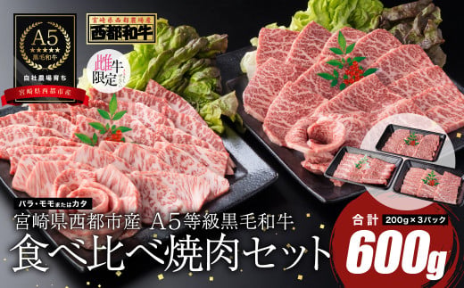 【最高品質のA5等級 西都和牛】黒毛和牛食べ比べ焼肉セット 600g（200ｇ×3） 赤身・カルビ 小分け 宮崎県産 カミチクファーム＜62-6a＞