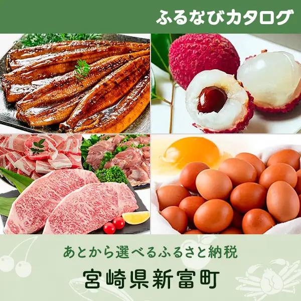 【有効期限なし！後からゆっくり特産品を選べる】宮崎県新富町カタログポイント