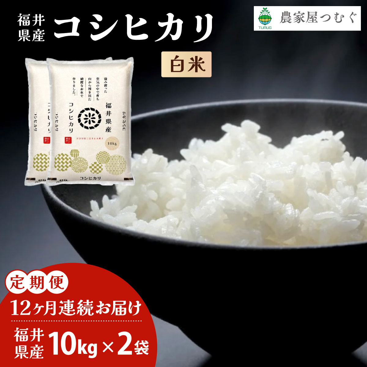 【定期便12回】福井県産 コシヒカリ 精米 10kg×2袋  ＜令和7年産 ＞【米 コメ お米 精米 白米 無洗米 玄米 ご飯 飯 こしひかり ブランド米 国産】[095-t12-a203]【敦賀市ふるさと納税】