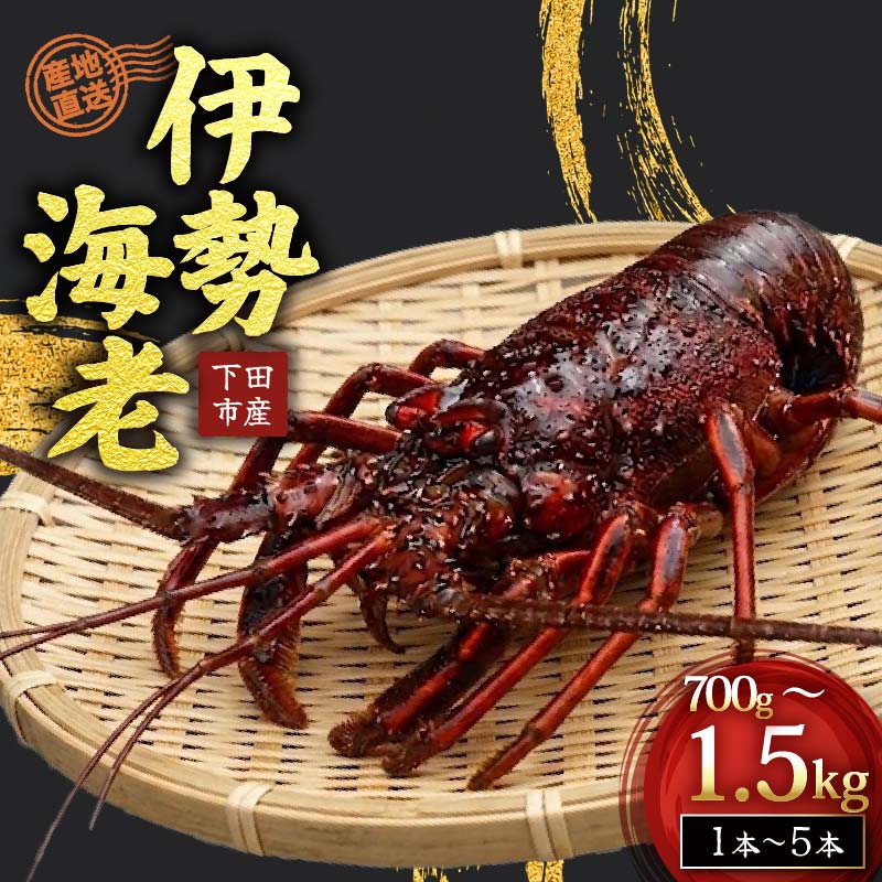 【ふるさと納税】 冷凍 伊勢海老 活 選べる 容量 700g 1kg 1.5kg 下田産 伊勢エビ 海老 活き締め 国産 海老 えび 刺身 味噌汁 おつまみ バーベキュー BBQ おせち ギフト 贈答 プレゼント 伊豆 辻水産 下田市 静岡県
