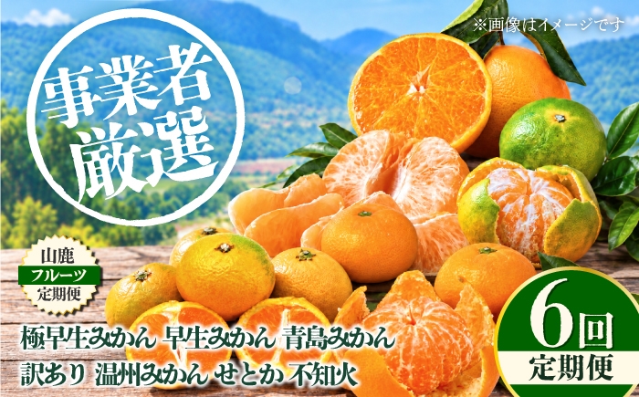 
                  【先行予約】【6回定期便】 フルーツの名産地 山鹿から直送する柑橘定期便 みかん 極早生 早生 温州 白川 せとか 不知火 [ZZZ008]
                