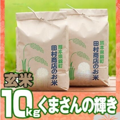 米 10kg 令和5年 くまさんの輝き 5kg×2 玄米 こめ お米 地元 契約 農家 種子 管理 田植え 育成 籾すり 自然 安全 美味しさ 近年育成 独自品種 