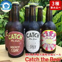 【ふるさと納税】屋久島・地ビール Catch the Beerおまかせビール3種6本セット | 瓶ビール 飲み比べ 詰合せ ギフト3種類 キャッチザビア アルコール お酒 鹿児島県 屋久島町 鹿児島