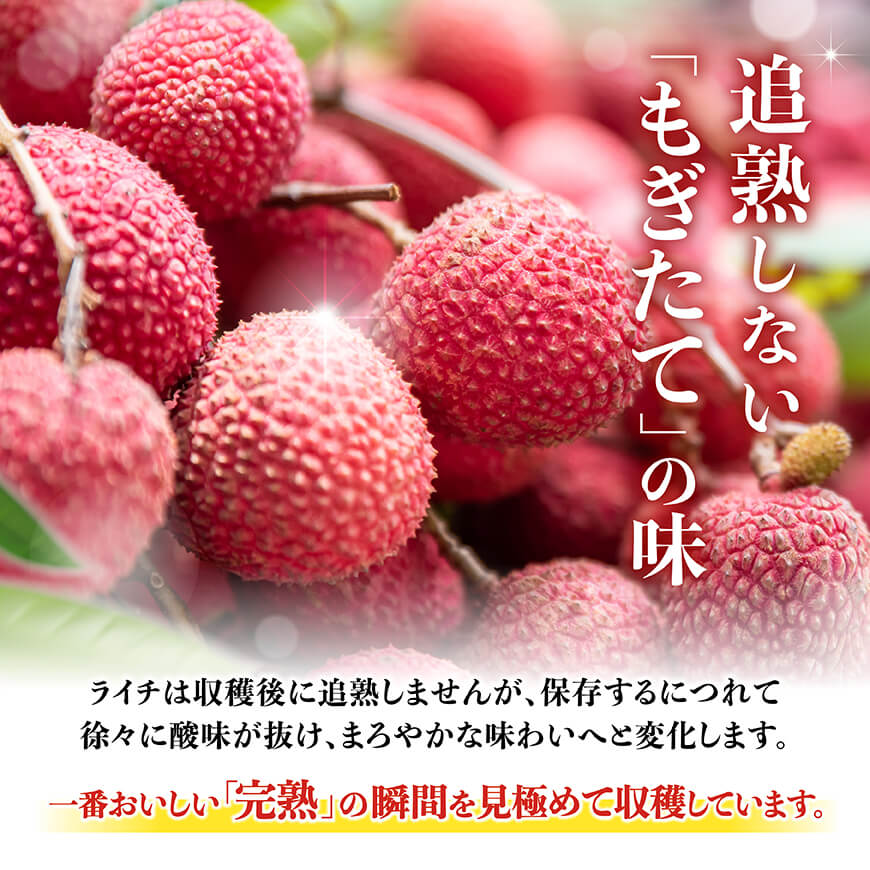 【令和8年産】川南町産ライチ（特大）10粒(5粒×2パック) 【 国産ライチ フルーツ デザート 宮崎県産 】