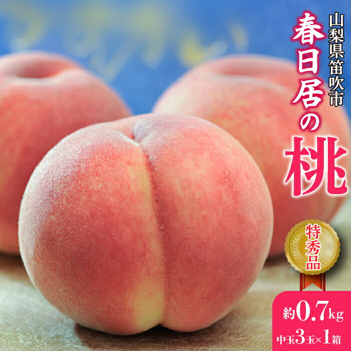 【ふるさと納税】＜25年発送先行予約＞≪山梨直送≫山梨産「春日居の桃」特秀品・中玉3玉×1箱　合計0.7kg ふるさと納税 人気 おすすめ ランキング もも 桃 国産 人気 期間限定 果物 フルーツ ギフト 贈り物 プレゼント 旬 山梨県 笛吹市 送料無料 203-003