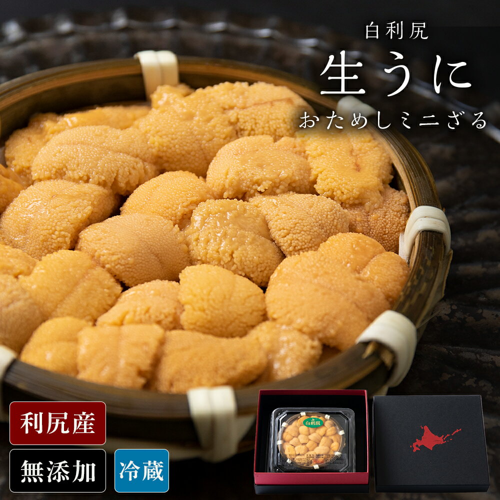 【ふるさと納税】【2025年6月より発送】白利尻 生うに お試しミニざる ムラサキウ二 60g 海鮮 海産物 魚介類 うに 冷蔵うに むらさき ウニ 雲丹 利尻うに 生うに 北海道 千歳 北海道ふるさと納税 千歳市 ふるさと納税【北海道千歳市】ギフト ふるさと納税