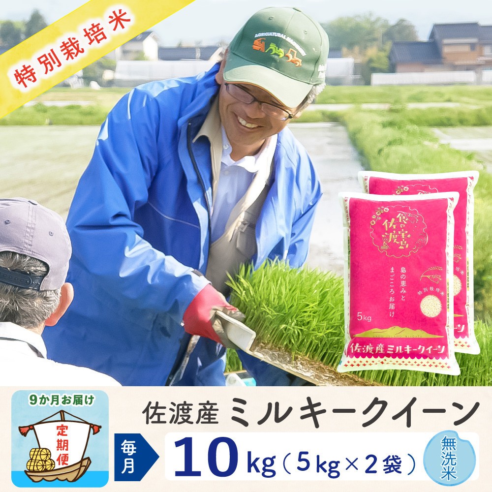 【令和8年産新米 9ヶ月】佐渡島産ミルキークイーン 無洗米 10kg(5kg×2袋） 特別栽培米195962-4424