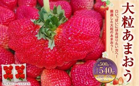 大粒あまおう 2パック 合計500～540g  【2027年2月上旬～4月下旬発送予定】 あまおう 苺 いちご 果物 果実 フルーツ 大粒 国産 九州 福岡県 香春町 冷蔵