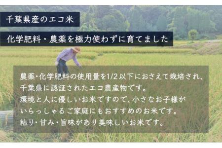 【最短2～7営業日出荷】令和6年産 千葉県産エコ米「コシヒカリ」10kg（5kg×2袋） A002