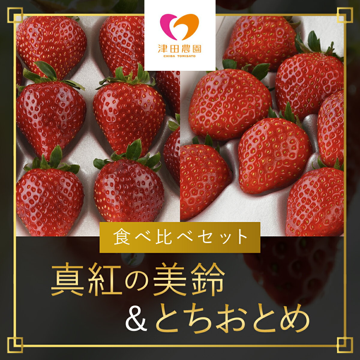 【ふるさと納税】【2026年2月から順次発送】 「真紅の美鈴」「とちおとめ」食べ比べセット いちごイチゴ 苺 真紅の美鈴 黒いちご 黒イチゴ とちおとめ 甘い 完熟 魅惑 赤 深紅 ワイン色 朝収穫 美味しい 食べ比べ 贈答 ギフト お取り寄せ 千葉県 富里市 TME003