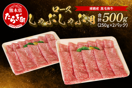 球磨産 黒毛和牛 ロースしゃぶしゃぶ用 500g（250g×2パック）【 牛肉 しゃぶしゃぶ しゃぶしゃぶ用 ロース やわらか 小分け 和牛 】011-0064