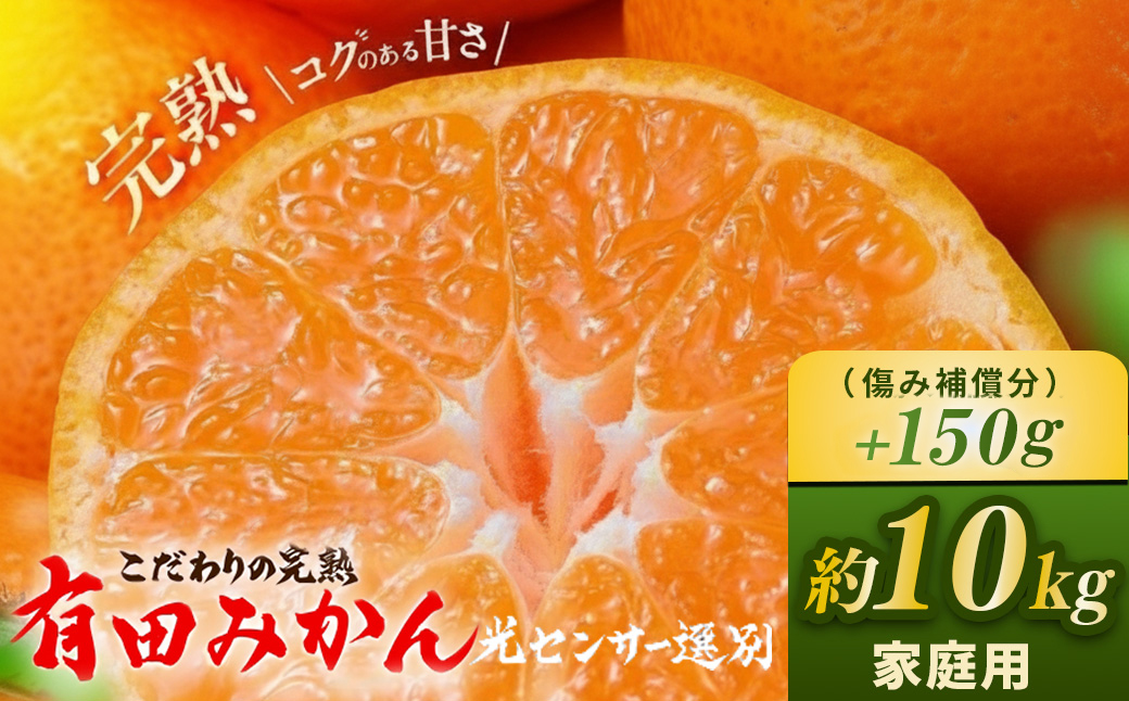 ＼光センサー選別／こだわりの完熟有田みかん 10kg＋150g(傷み補償分) 【ご家庭用】サイズ混合 有機質肥料100%｜ ふるさと納税 みかん
