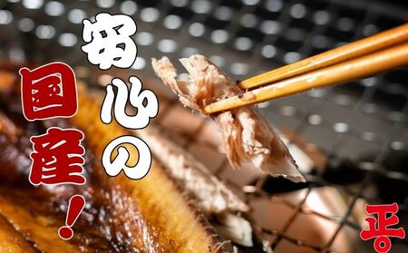  秋刀魚開干 10枚 さんま