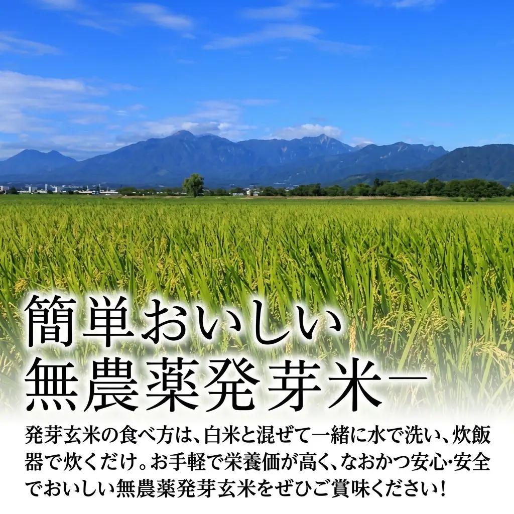 JAS 有機栽培 アイガモ農法 コシヒカリ 発芽玄米 2kg コシヒカリ 新潟