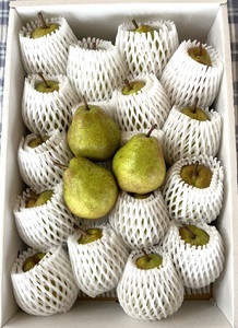 西洋梨（ラ・フランス）５ｋｇ　0041-2404