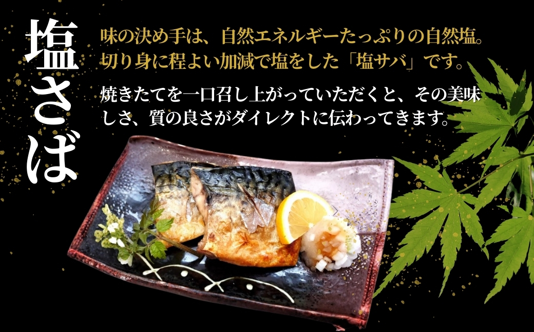 塩さば 合計10切 合計950g (1袋約190g 2切×5袋) 個包装・真空パック 冷凍 ギフト対応  吉雪 | さば 鯖 無添加 中元 贈答 贈り物 プレゼント ギフト人気 おすすめ 【0002-