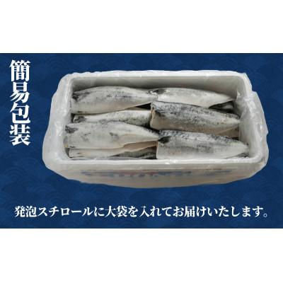 ふるさと納税 銚子市 適塩さば・純米酒仕込み 5kg |  | 01