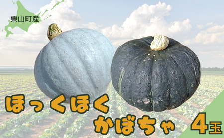 【先行予約】北海道栗山町産 ほっくほくかぼちゃ 4玉