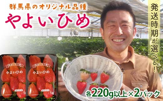 
                  群馬県産いちごセット＜やよいひめ2パック＞【選べる発送時期】(各220g以上×2パック) いちご やよいひめ 群馬県産 オリジナル品種 苺 イチゴ セット 詰合せ 果物 フルーツ 食品 F21E-492
                