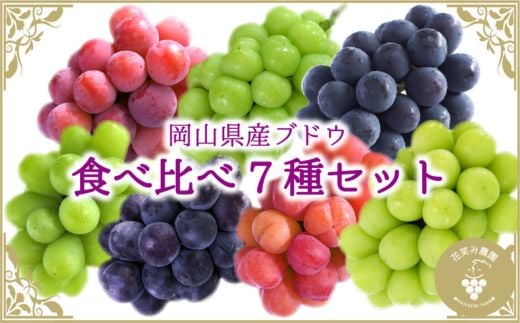 ＜2026年先行受付＞岡山　花笑み農園のブドウ『食べ比べ7種セット』7M-5_ぶどう 葡萄 ブドウ 岡山県産 果物 くだもの フルーツ ギフト 食べ比べ セット 7種 岡山県 津山市 産地直送 送料無料【1596445】