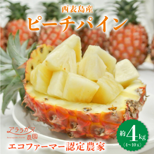 アララガマ農園発祥のピーチパイン。香り高く女性人気NO.1！国内流通量1％未満、幻の完熟ピーチパイン　ピーチパイン4kg（4～10玉）