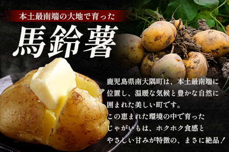 【先行予約】【B級品】(割れ) じゃがいも 馬鈴薯 (バレイショ) ≪2L～L≫ 約10kg×1箱 /ニシユタカ (約30個) ≪2026年3月20日頃より順次発送≫ CS-2 |  家庭用 南大隅町