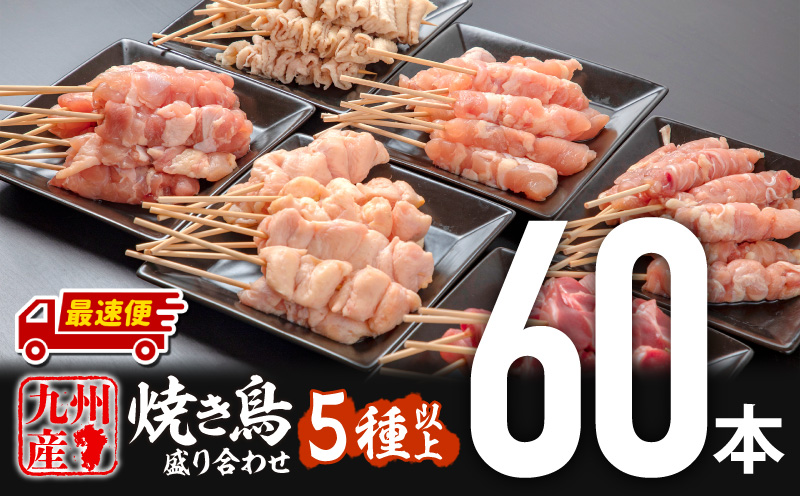 【最速便】九州産若鶏 焼き鳥5種(60本)バラエティーセット_M146-016-2W