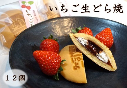 【有限会社いちごの里よしみ観光協会】道の駅いちごの里よしみ限定販売　いちご生どら焼き１２個セット
