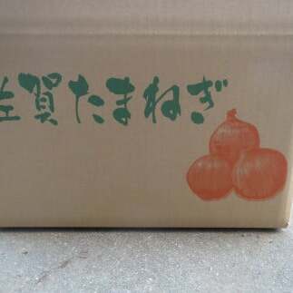 【小玉サイズたまねぎ約4キロ】玉ねぎ 4kg 有機肥料栽培・除草剤不使用 輝ファーマーズ F8-7_イメージ2