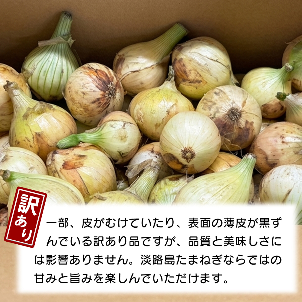 【訳あり】【新玉ねぎ】小さな淡路島たまねぎ 2S～Sサイズ 